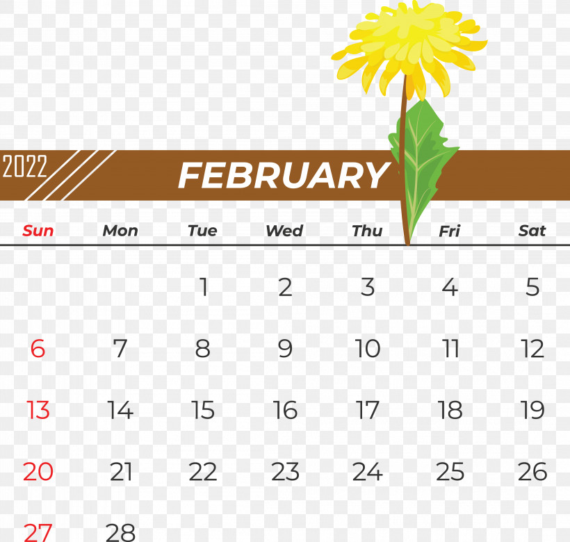 Line Calendar Font Flower Leucoplast, PNG, 4418x4204px, Line, Adhesive Plaster, Calendar, Flower, Geometry Download Free
