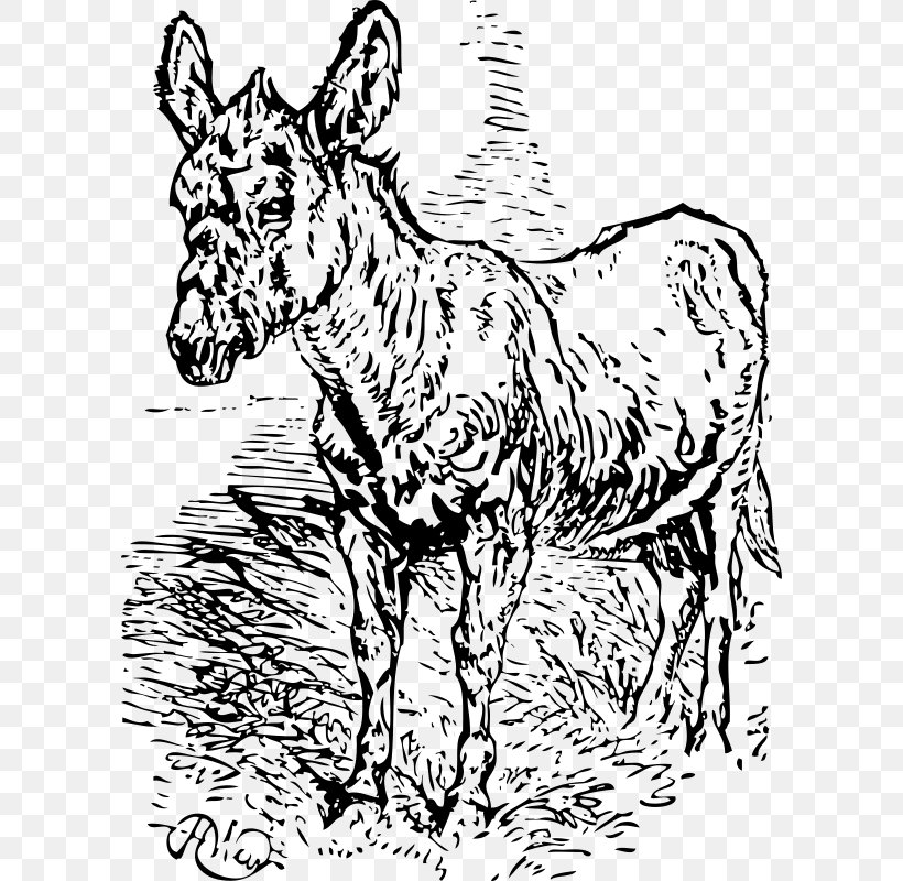 Mule Donkey Horse Mare, PNG, 600x800px, Mule, Animal Figure, Art, Black And White, Cattle Like Mammal Download Free