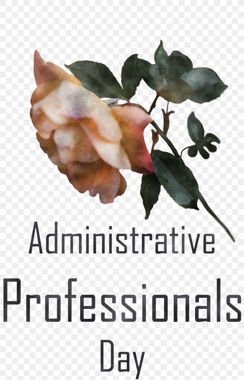 Administrative Professionals Day Secretaries Day Admin Day, PNG, 1931x3000px, Administrative Professionals Day, Admin Day, Biology, Branching, Flower Download Free