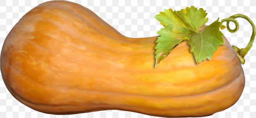 Butternut Squash Pumpkin Calabaza Vegetable, PNG, 2401x1113px, Butternut Squash, Calabaza, Cucumber Gourd And Melon Family, Cucurbita, Food Download Free