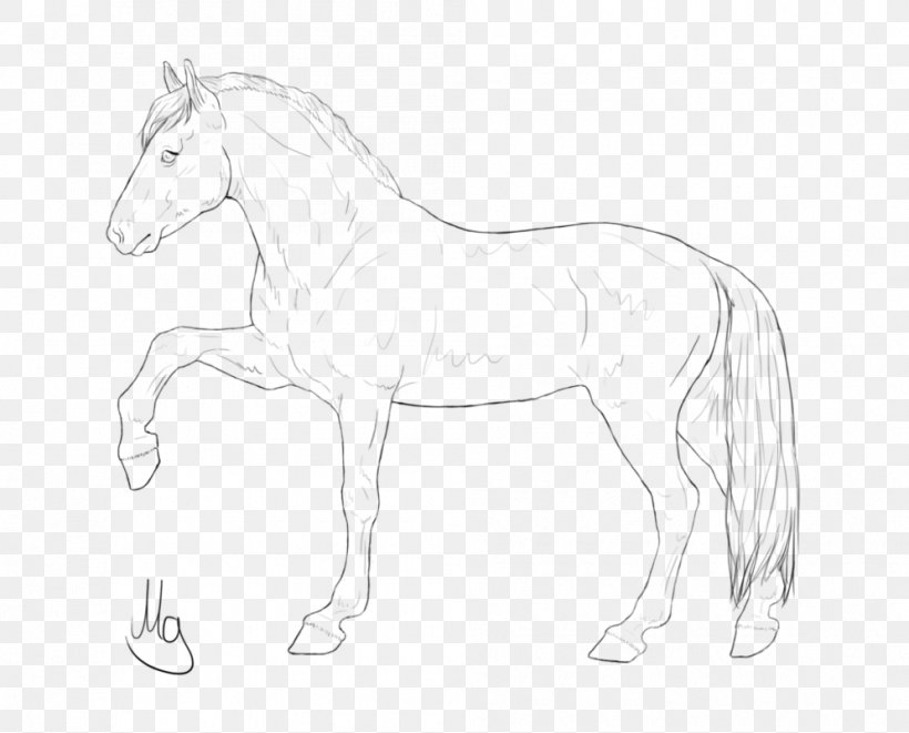 Mane Foal Mustang Bridle Stallion, PNG, 995x803px, Mane, Animal Figure, Artwork, Black And White, Bridle Download Free