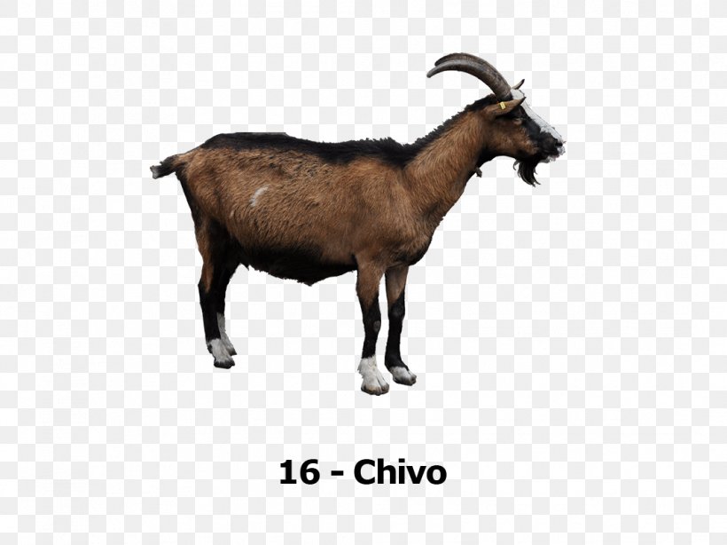 Rove Goat Goat Cheese Clip Art, PNG, 1068x800px, Rove Goat, Ahuntz, Cattle Like Mammal, Cow Goat Family, Fauna Download Free