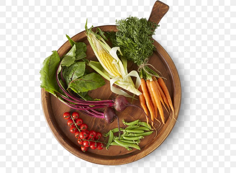 Vegetarian Cuisine Leaf Vegetable Food Meal Health, PNG, 546x600px, Vegetarian Cuisine, Diabetic Diet, Diet, Diet Food, Dish Download Free