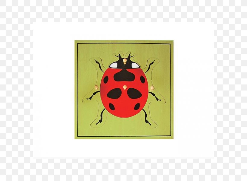 Jigsaw Puzzles Montessori Sensorial Materials Educational Toys Ladybug Puzzle, PNG, 600x600px, 15 Puzzle, Jigsaw Puzzles, Beetle, Biology, Child Download Free