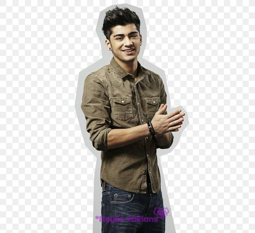 Zayn Malik One Direction What Makes You Beautiful Musician, PNG, 500x750px, Watercolor, Cartoon, Flower, Frame, Heart Download Free