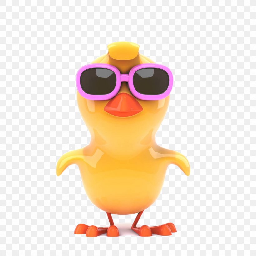 Chicken Stock Photography Glasses Royalty-free, PNG, 1000x1000px, 3d Computer Graphics, Chicken, Beak, Bird, Drawing Download Free