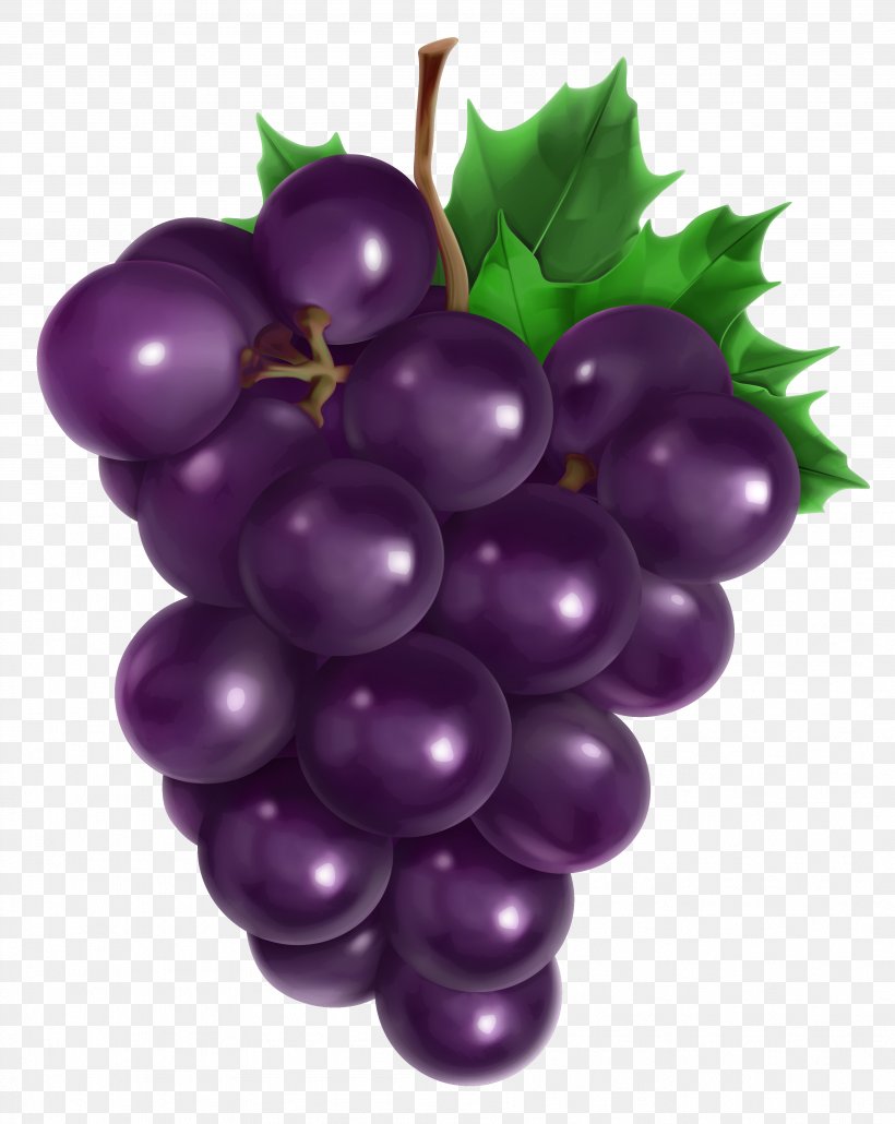 Juice Common Grape Vine Fruit, PNG, 3596x4520px, Juice, Common Grape Vine, Food, Fruit, Grape Download Free