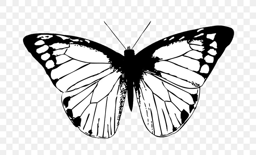 Monarch Butterfly Drawing Clip Art, PNG, 709x496px, Butterfly, Animal, Arthropod, Black And White, Blue Download Free