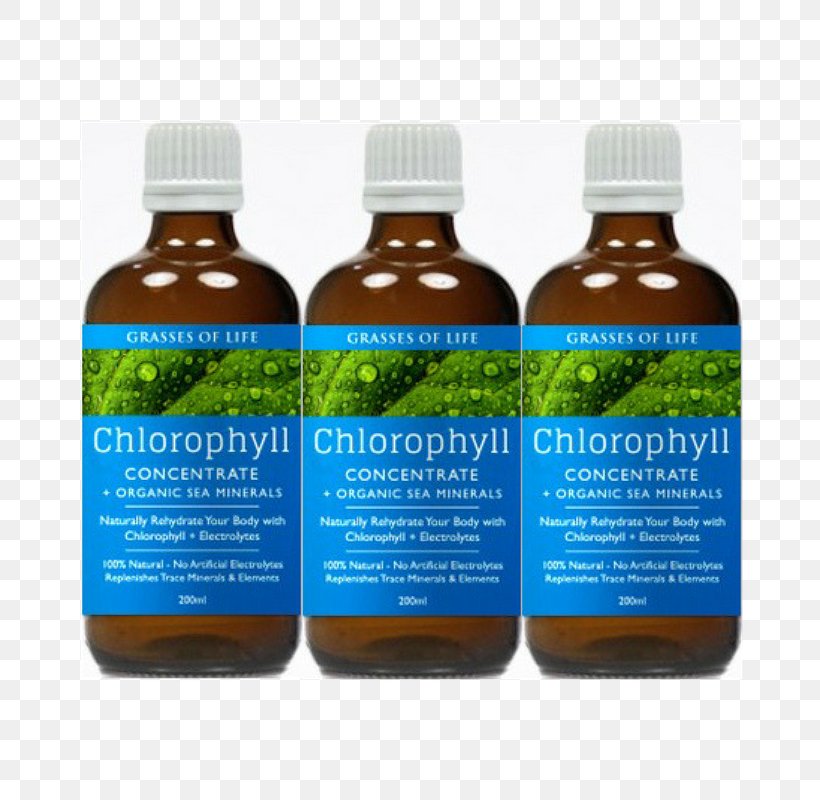 Sport Electrolyte Grasses Of Life Chlorophyll Hydrate, PNG, 800x800px, Sport, Chlorophyll, Colloid, Electrolyte, Hydrate Download Free