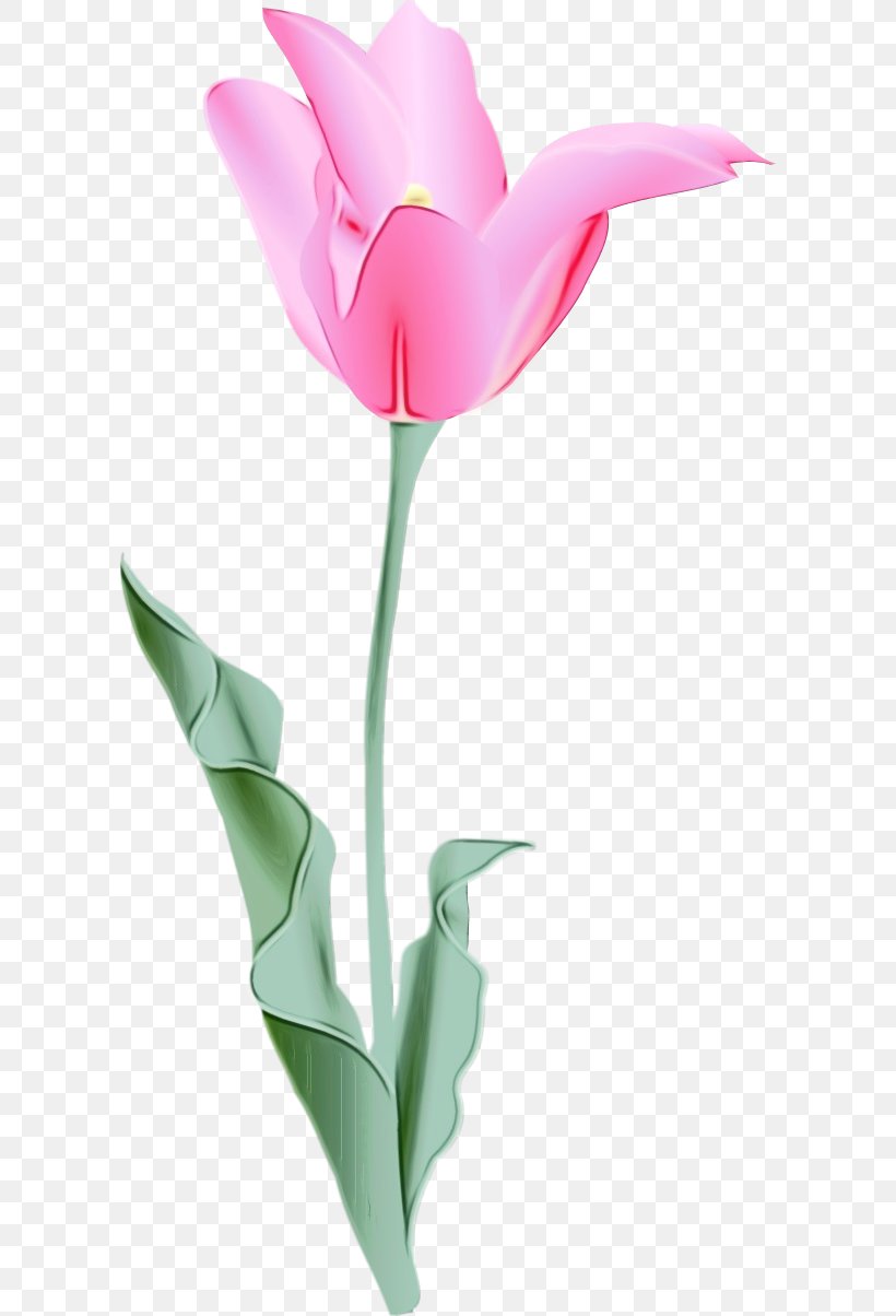 Watercolor Pink Flowers, PNG, 600x1204px, Watercolor, Anthurium, Cut Flowers, Drawing, Flower Download Free