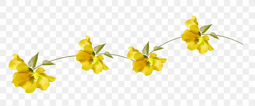 Yellow Flower Garland Green Color, PNG, 2603x1085px, Yellow, Amaryllis Family, Animation, Branch, Color Download Free