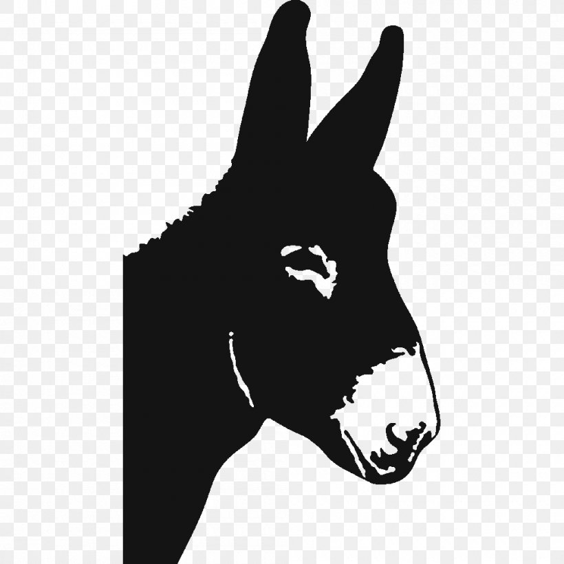 Mule Maine, Maine Clip Art Donkey, PNG, 1000x1000px, Mule, Autocad Dxf, Black And White, Donkey, Gray Wolf Download Free