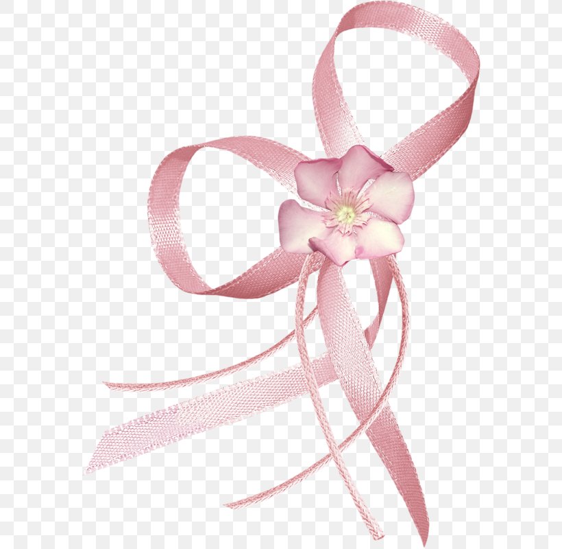 Pink Flower Petal Ribbon Garden Roses, PNG, 582x800px, Pink, Color, Designer, Fashion Accessory, Flower Download Free