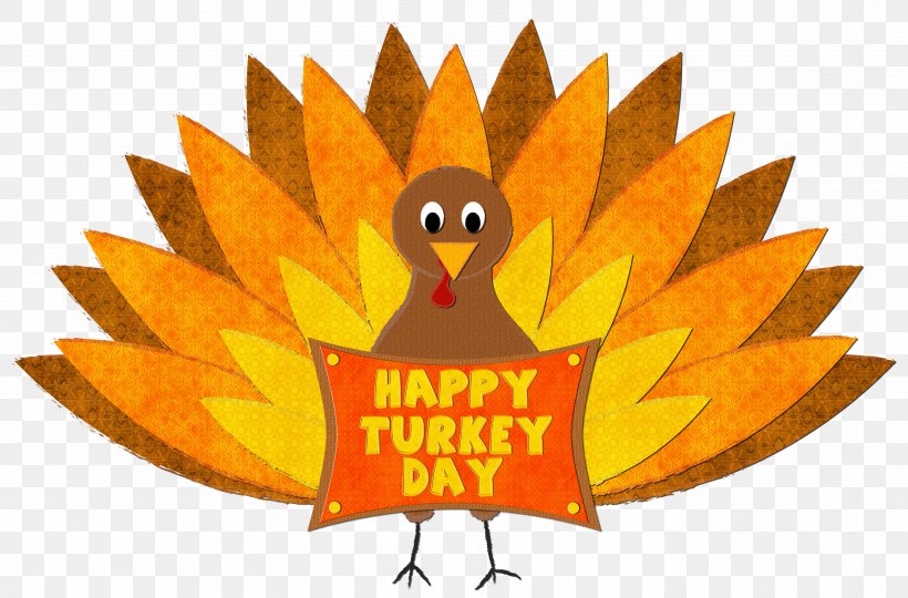 Turkey Meat Thanksgiving Clip Art, PNG, 3602x2374px, Turkey, Beak, Bird, Blog, Domesticated Turkey Download Free