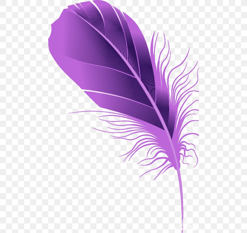 Feather Violet Quill Drawing, PNG, 500x772px, Feather, Color, Computer, Drawing, Flower Download Free