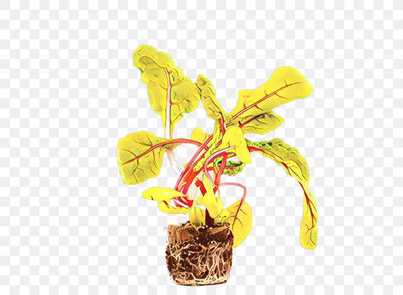 Flower Stem, PNG, 600x600px, Tree, Anthurium, Flower, Flowerpot, Houseplant Download Free