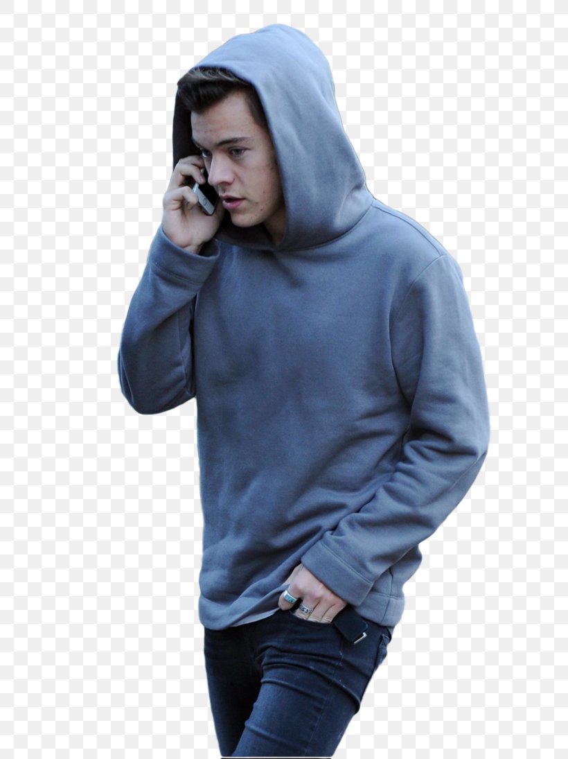 Harry Styles Harry Potter And The Philosopher's Stone, PNG, 730x1095px ...