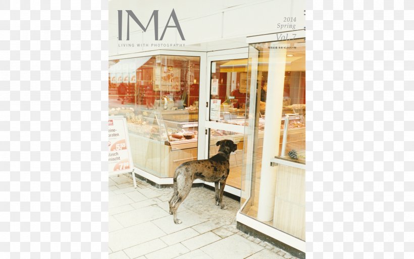 Magazine Millennials Animal Interior Design Services Photographer, PNG, 2000x1256px, Magazine, Animal, Dog Like Mammal, Floor, Flooring Download Free