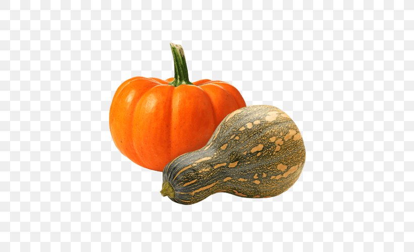 Pumpkin Risotto Gourd Carpaccio Winter Squash, PNG, 500x500px, Pumpkin, Braising, Calabaza, Carpaccio, Cucumber Gourd And Melon Family Download Free