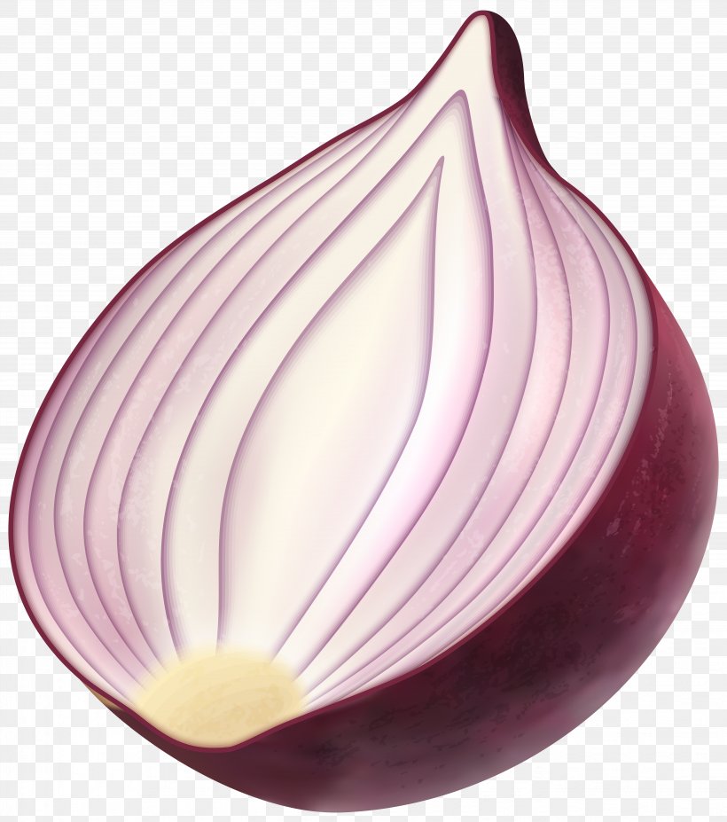 Red Onion Clip Art, PNG, 5302x6000px, Red Onion, Audio Video Interleave, Magenta, Onion, Petal Download Free