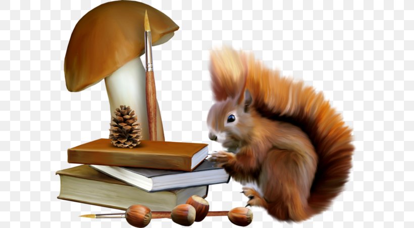 Squirrel, PNG, 600x453px, Squirrel, Animation, Drawing, Fauna, Lossless Compression Download Free