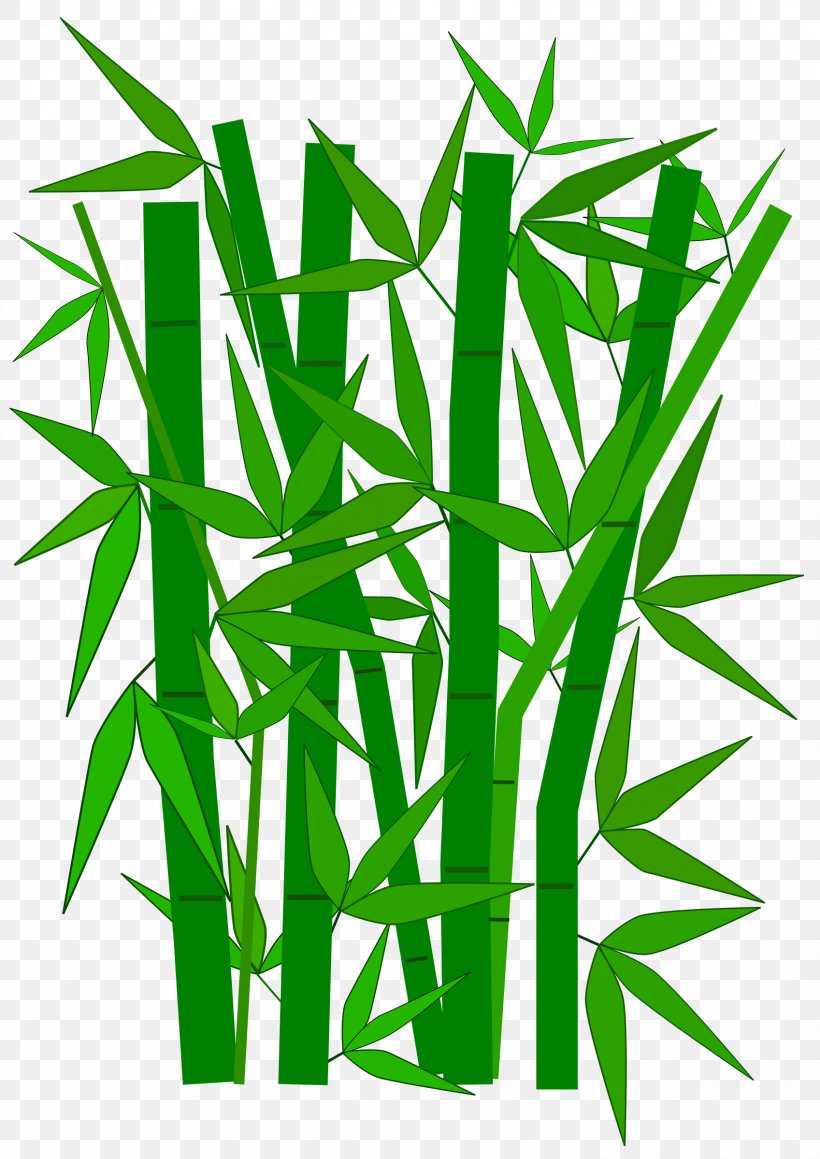 Bamboo Textile Green Clip Art, PNG, 1697x2400px, Bamboo, Bamboo Textile, Color, Commodity, Dracaena Download Free