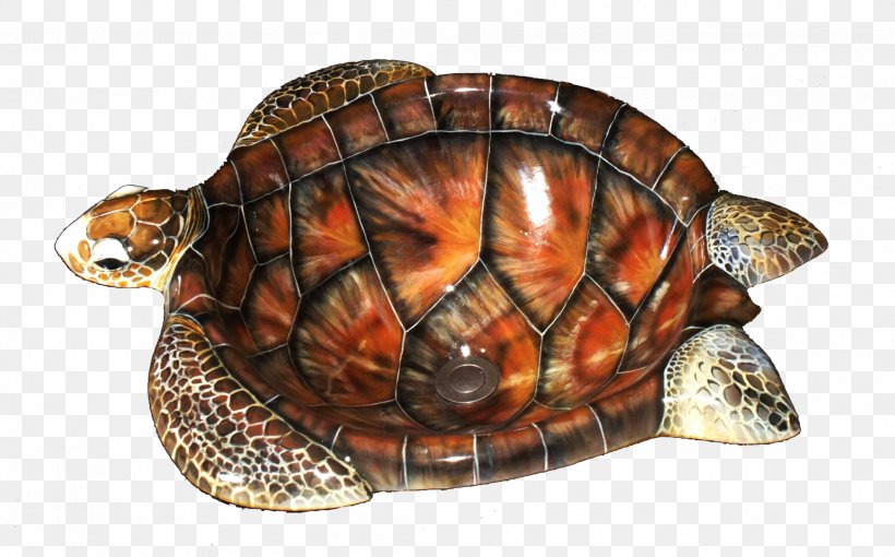 Box Turtle Artistic Illusions Sea Turtle Sink, PNG, 2111x1315px, Box Turtle, Art, Artist, Creativity, Emydidae Download Free