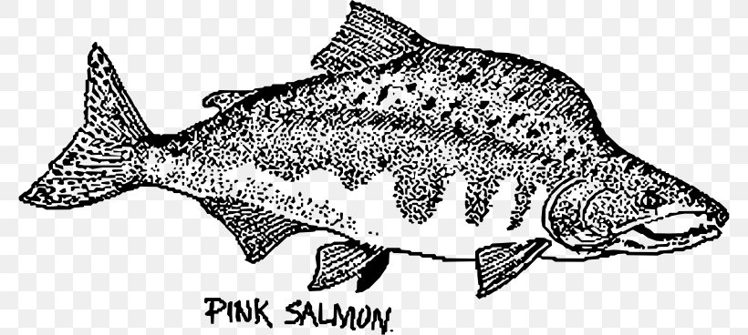 Fish Pink Salmon Drawing Chum Salmon, PNG, 780x368px, Fish, Animal Figure, Atlantic Salmon, Black And White, Chum Salmon Download Free