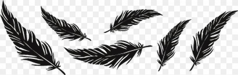 Tattoo Feather Drawing Bird Image, PNG, 1516x484px, Tattoo, Art, Beak, Bird, Black And White Download Free