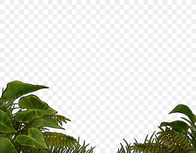 Vegetation Leaf Sky Lawn Plants, PNG, 1428x1116px, Vegetation, Botany, Branch, Cloud, Flower Download Free