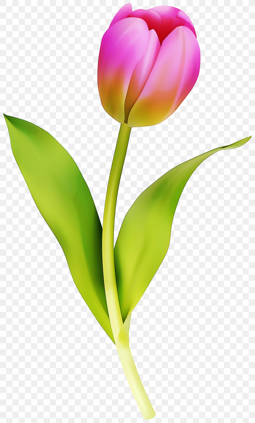 Artificial Flower, PNG, 1813x3000px, Flower, Artificial Flower, Bud, Cut Flowers, Lily Family Download Free