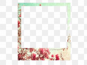 Design - Digital Photography Instant Camera PNG