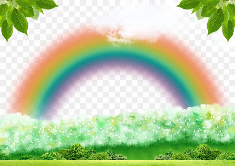 Forest Green Forest Green Rainbow, PNG, 3508x2480px, Green, Advertising, Daytime, Forest, Forest Green Download Free