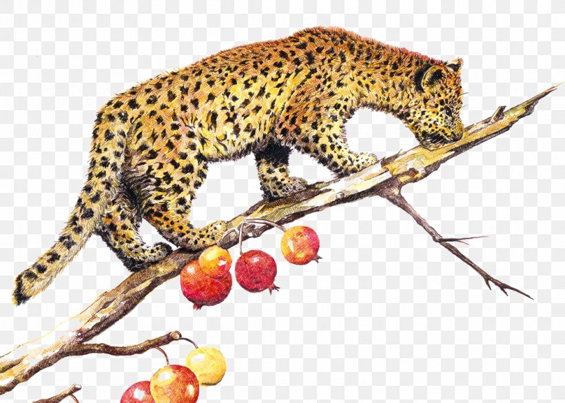 Leopard Tiger Jaguar Cheetah, PNG, 1063x759px, Leopard, Animal, Big Cats, Carnivoran, Cat Like Mammal Download Free