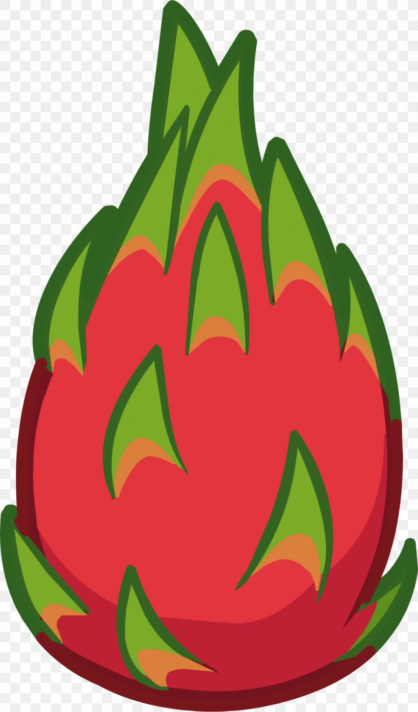 Pitaya Fruit Clip Art, PNG, 973x1658px, Pitaya, Apple, Berry, Drawing, Flower Download Free