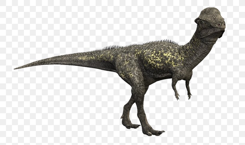 Stegoceras Pachycephalosaurus Late Cretaceous Plateosaurus Dinosaur, PNG, 731x487px, Stegoceras, Animal Figure, Ceratosaurus, Cretaceous, Dinosaur Download Free