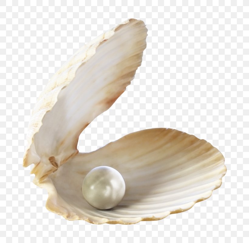 Earring Pearl Stock Photography Bracelet Necklace, PNG, 710x800px, Oyster, Clam, Clams Oysters Mussels And Scallops, Cockle, Conch Download Free