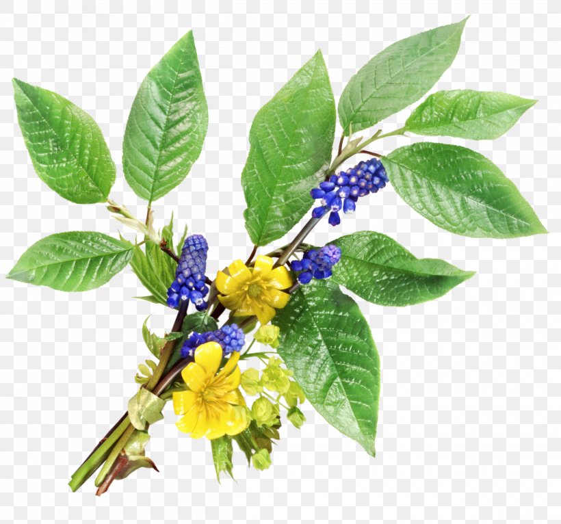 Flower Health Purple, PNG, 2500x2338px, Flower, Designer, Health, Herb, Herbalism Download Free