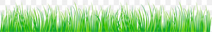 Green, PNG, 2000x303px, Green, Grass, Grass Family Download Free