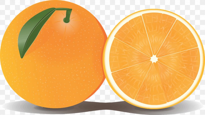 Orange Clip Art, PNG, 1280x720px, Orange, Blog, Citric Acid, Citrus, Clementine Download Free