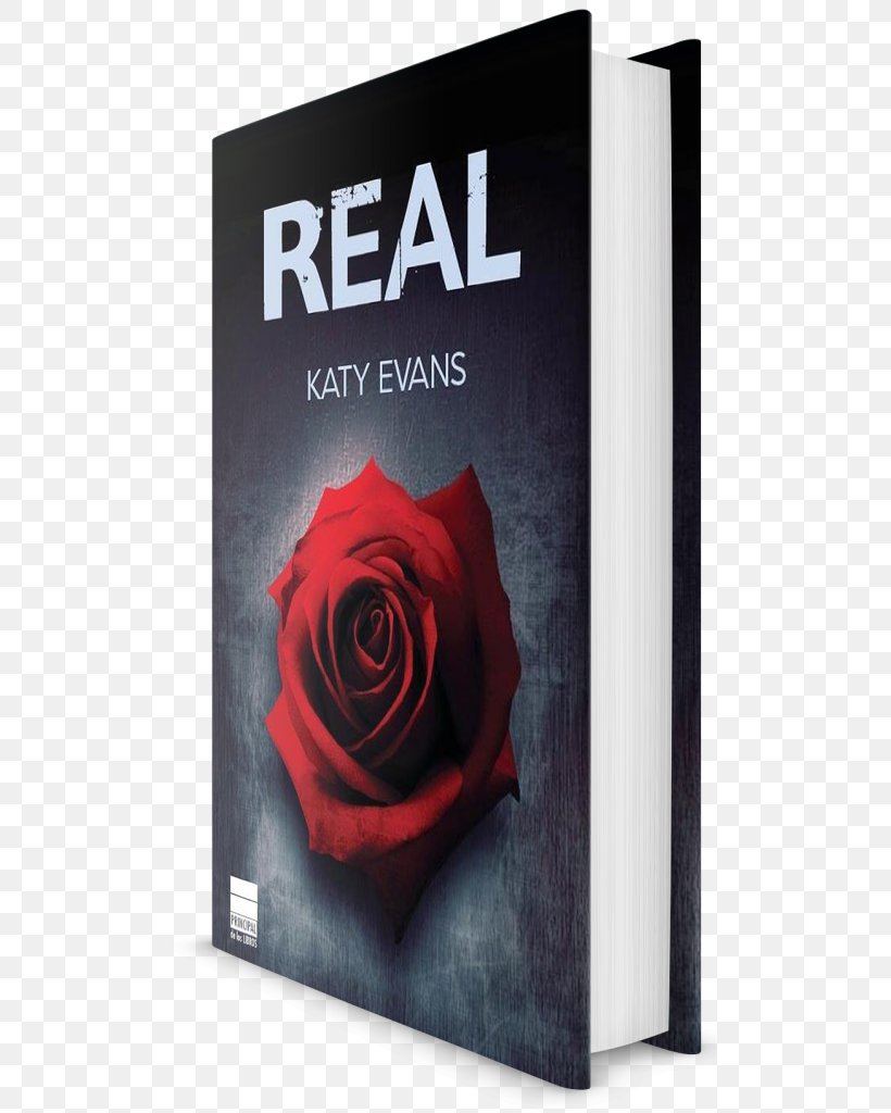 Petal Book Rose Family Product, PNG, 501x1024px, Petal, Book, Family, Flower, Rose Download Free