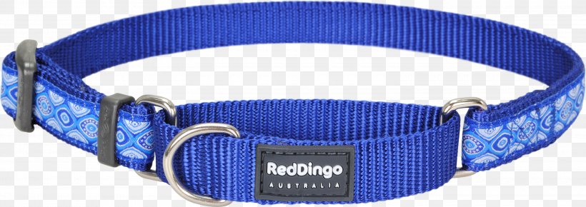 Dog Collar Dingo Martingale, PNG, 3000x1064px, Dog, Anjing Jepun, Blue, Buckle, Choker Download Free