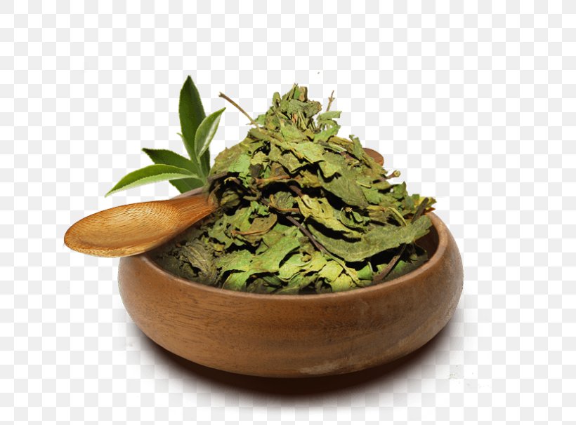 Longjing Tea Herb Flowerpot Tea Plant, PNG, 700x606px, Longjing Tea, Flowerpot, Herb, Herbalism, Plant Download Free