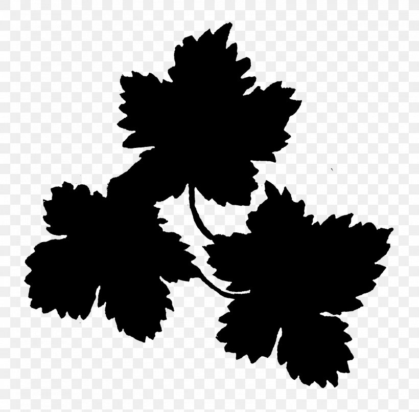 M / 0d Pattern Font Silhouette Flower, PNG, 1600x1571px, M 0d, Black, Black M, Blackandwhite, Flower Download Free