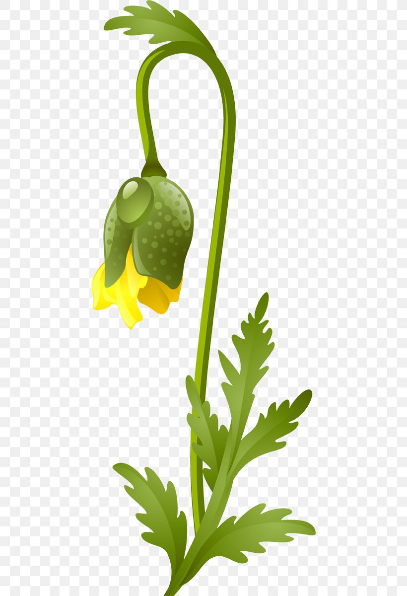 Flower Google Images Leaf Vegetable Clip Art, PNG, 452x1200px, Flower, Advertising, Alternative Health Services, Artwork, Blume Download Free