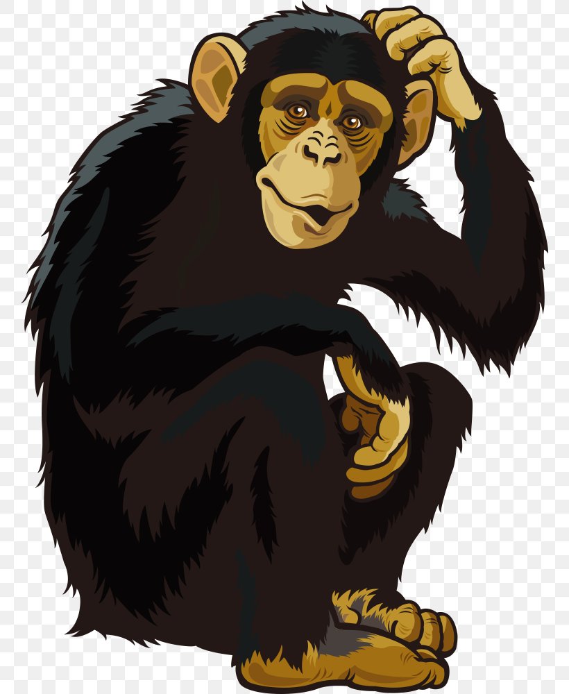Orangutan Ape Chimpanzee Monkey, PNG, 760x1000px, Orangutan, Ape, Bear, Carnivoran, Cartoon Download Free