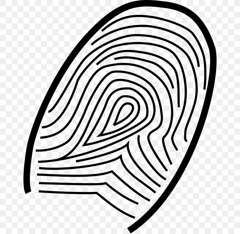 Fingerprint Detective Drawing Clip Art, PNG, 660x800px, Fingerprint, Area, Black And White, Drawing, Finger Download Free
