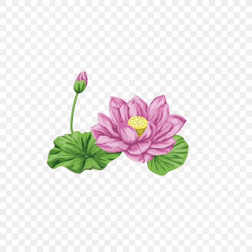 Lilium Graphic Design Arum-lily, PNG, 2000x2000px, Lilium, Arumlily, Designer, Flower, Flowering Plant Download Free