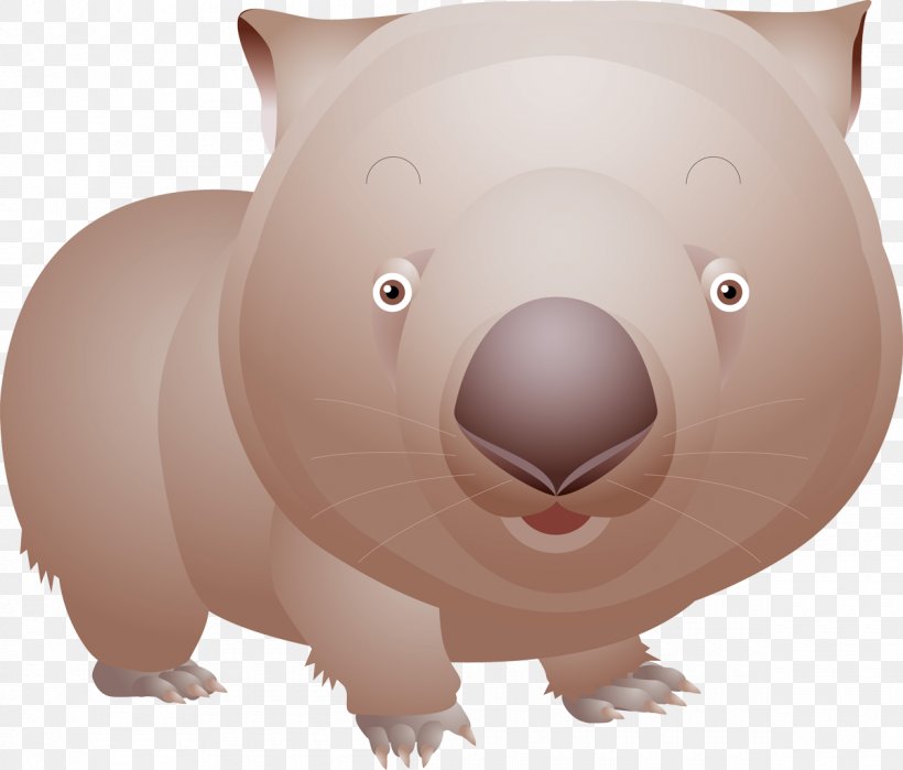 Marsupial Fauna Mammal, PNG, 1200x1023px, Nose, Bear, Carnivoran, Cartoon, Designer Download Free