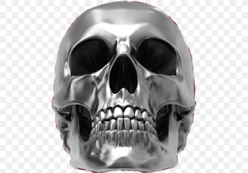 Skull Bone Human Skeleton Image Metal, PNG, 480x573px, 3d Computer Graphics, Skull, Anatomy, Bone, Decal Download Free